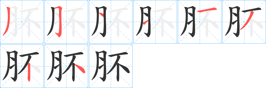 肧字笔画写法