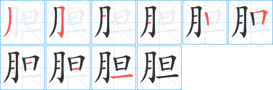 胆字笔画写法