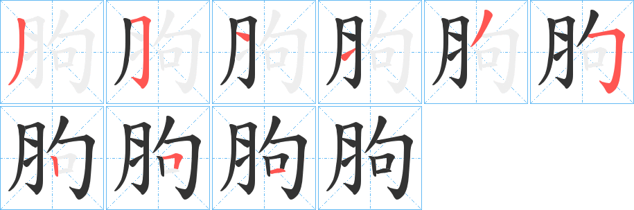 胊字笔画写法