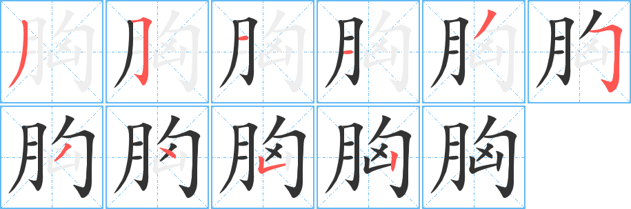 胸字笔画写法