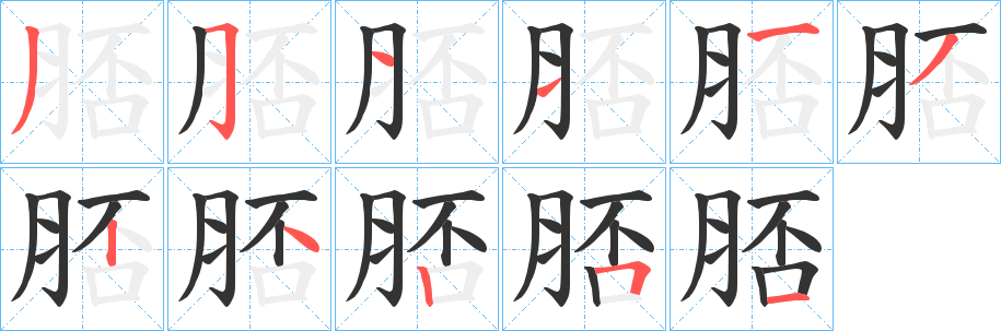 脴字笔画写法